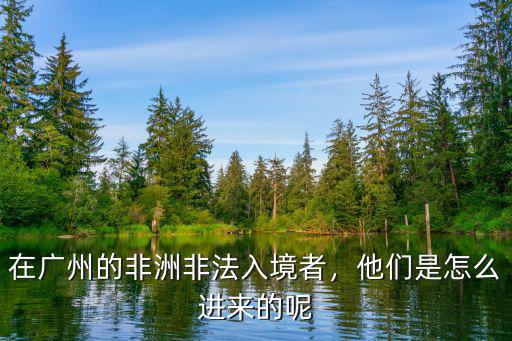 廣州非法黑人國家怎么處理的,在廣州的非洲非法入境者
