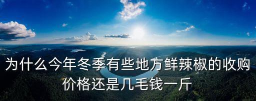 廣東省收辣椒9月多少錢一斤,種植辣椒的效益如何