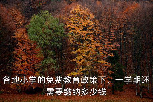 浙江一年級學費多少錢,現在上小學一年級要交多少錢