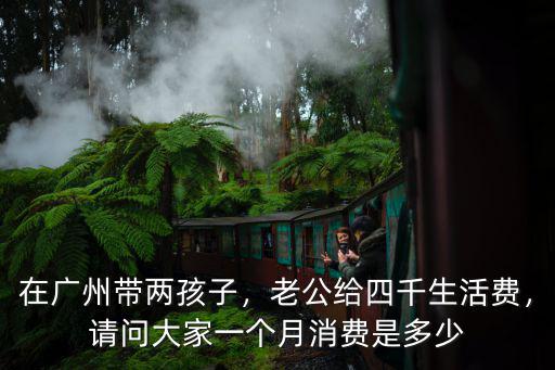 在廣州帶兩孩子，老公給四千生活費，請問大家一個月消費是多少