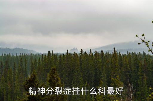 精神分裂癥掛什么科最好