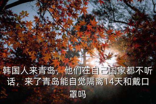 韓國人來青島，他們在自己國家都不聽話，來了青島能自覺隔離14天和戴口罩嗎