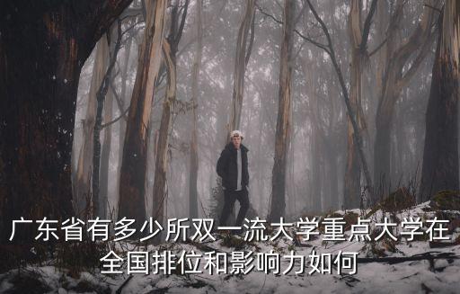 廣東有多少家雙一流大學,廣東省有多少所雙一流大學