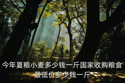今年夏糧小麥多少錢一斤國家收購糧食最低價多少錢一斤