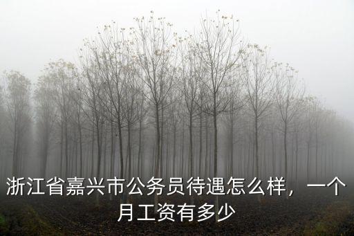 浙江省嘉興市公務員待遇怎么樣，一個月工資有多少