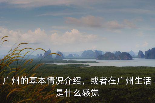 廣州生活碎片在哪里,在廣州如何生活
