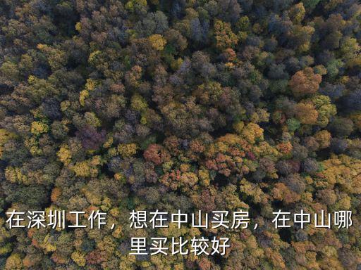 中山神盤在哪里,在中山哪里買比較好