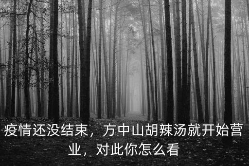 縣城開一家方中山胡辣湯怎么樣,方中山胡辣湯就開始營業