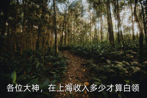 各位大神，在上海收入多少才算白領(lǐng)