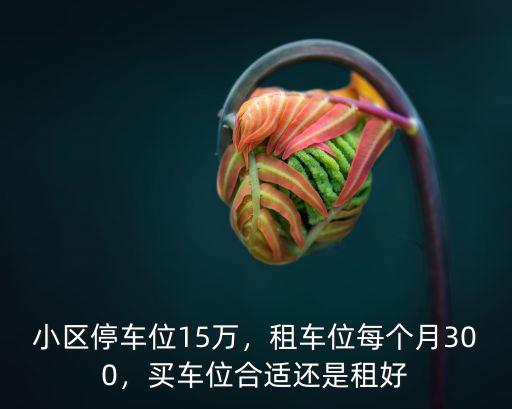 小區(qū)停車位15萬，租車位每個(gè)月300，買車位合適還是租好