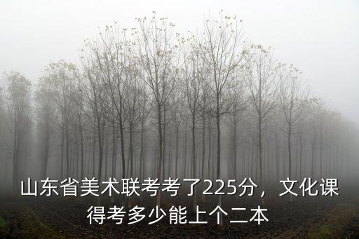 山東藝術二本分數線是多少,文化課得考多少能上個二本