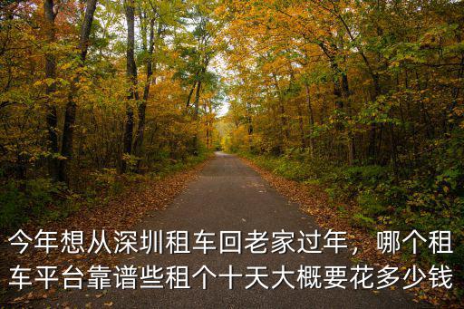 深圳網上租車怎么算,在深圳開網租車