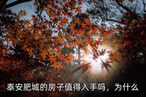 泰安肥城市巧山社區的房子多少錢,泰安肥城的房價多少