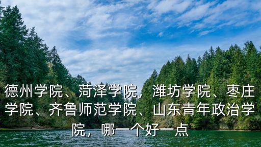德州學院、菏澤學院，濰坊學院、棗莊學院、齊魯師范學院、山東青年政治學院，哪一個好一點
