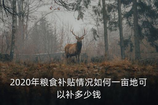 淄博桓臺21年糧食補貼每畝多少錢,2020年糧食補貼情況如何