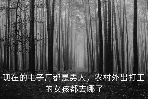 現在的電子廠都是男人，農村外出打工的女孩都去哪了