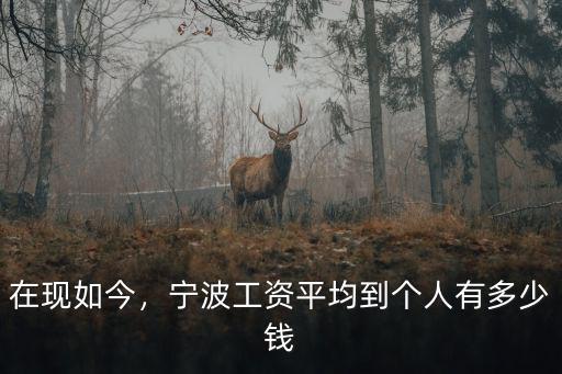 在寧波當協警有多少錢一月,寧波工資平均到個人有多少錢