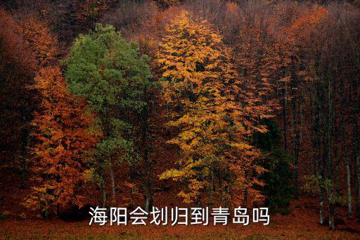 海陽會劃歸到青島嗎
