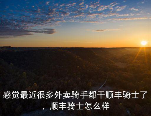 泰安順豐外賣騎手工資多少,騎手工資高嗎