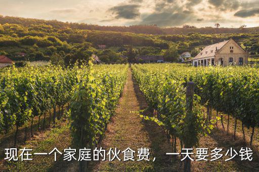 江門一職伙食費多少錢一餐,現(xiàn)在一個家庭的伙食費