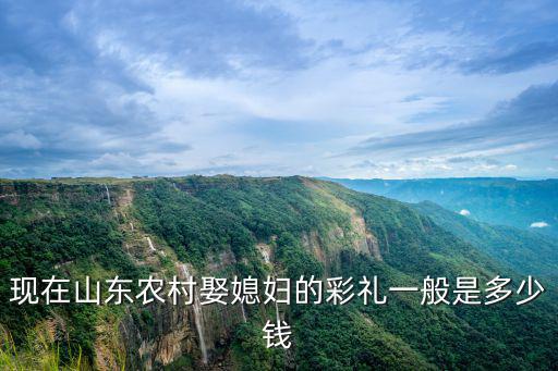 山東單縣結(jié)婚嫁妝多少錢,山東東營現(xiàn)在訂婚彩禮多少錢