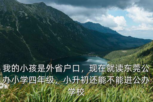 小升初東莞東華中學公辦班分數多少,現在就讀東莞公辦小學四年級