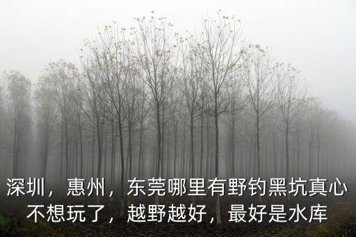 惠州淡水河哪里釣魚好,惠州這時候怎么好釣魚