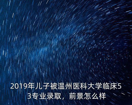 2020年溫州醫科大學招生多少,河北醫科大學