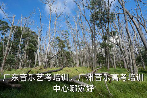 廣州藝考培訓(xùn)哪里好,廣州音樂(lè)高考培訓(xùn)中心哪家好