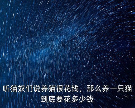 聽貓奴們說養貓很花錢，那么養一只貓到底要花多少錢