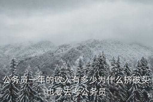 公務員一年的收入有多少為什么擠破頭也要去考公務員