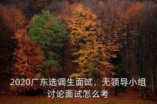 廣東無領導小組面試怎么淘汰,2020廣東選調生面試