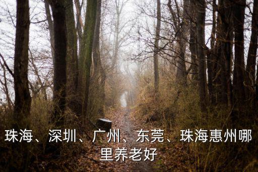 惠州哪里好養老,惠州哪個地方買房子為好