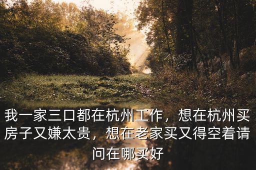 我一家三口都在杭州工作，想在杭州買房子又嫌太貴，想在老家買又得空著請問在哪買好