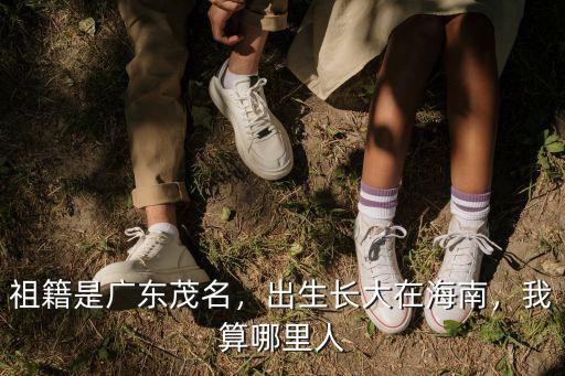 祖籍是廣東茂名，出生長大在海南，我算哪里人