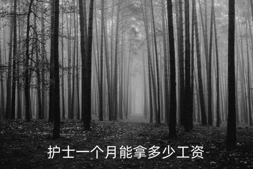 護士一個月能拿多少工資