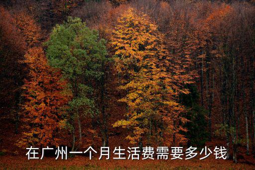 在廣州一個月生活費需要多少錢