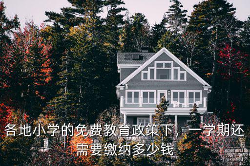深圳 小學(xué) 一年多少錢啊,在深圳上民辦小學(xué)