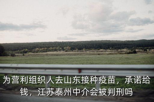 為營利組織人去山東接種疫苗，承諾給錢，江蘇泰州中介會被判刑嗎