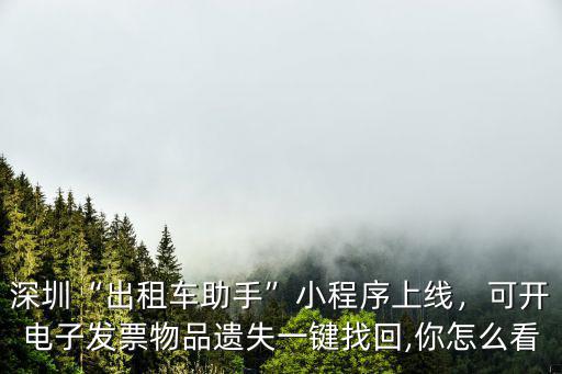 深圳“出租車助手”小程序上線，可開電子發票物品遺失一鍵找回,你怎么看