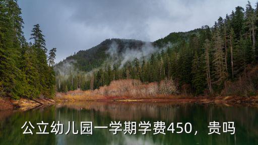 寧波公立幼兒園學(xué)費多少錢一個月,公立幼兒園一學(xué)期學(xué)費450