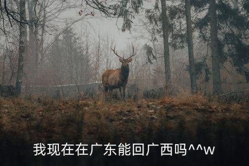 我現(xiàn)在在廣東能回廣西嗎^^w