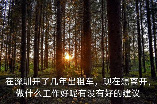 在深圳開了幾年出租車，現在想離開，做什么工作好呢有沒有好的建議