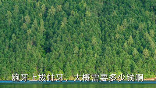 齙牙上拔蛀牙，大概需要多少錢啊