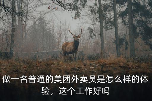 汕尾美團外賣待遇怎么樣,美團平臺怎么樣