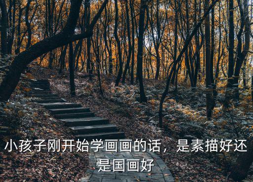 小孩子剛開始學畫畫的話，是素描好還是國畫好
