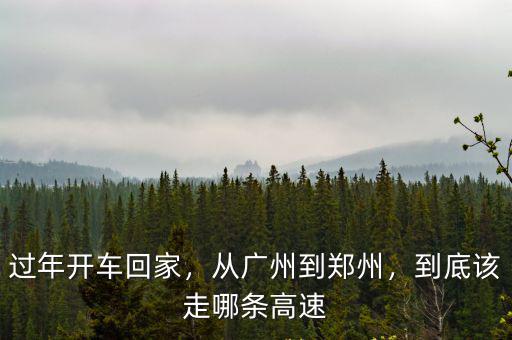 從廣州開車回鄭州要多少錢一個月,從廣州到鄭州