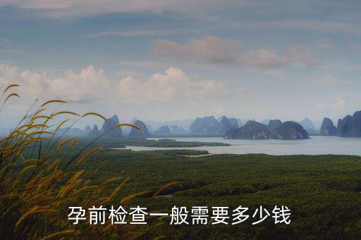 青島孕檢多少錢一次,孕前檢查一般需要多少錢