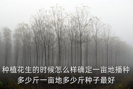 山東桔梗種植每畝多少斤種子,一畝地多少斤種子最好