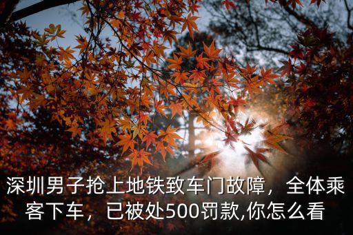 深圳男子搶上地鐵致車門故障，全體乘客下車，已被處500罰款,你怎么看